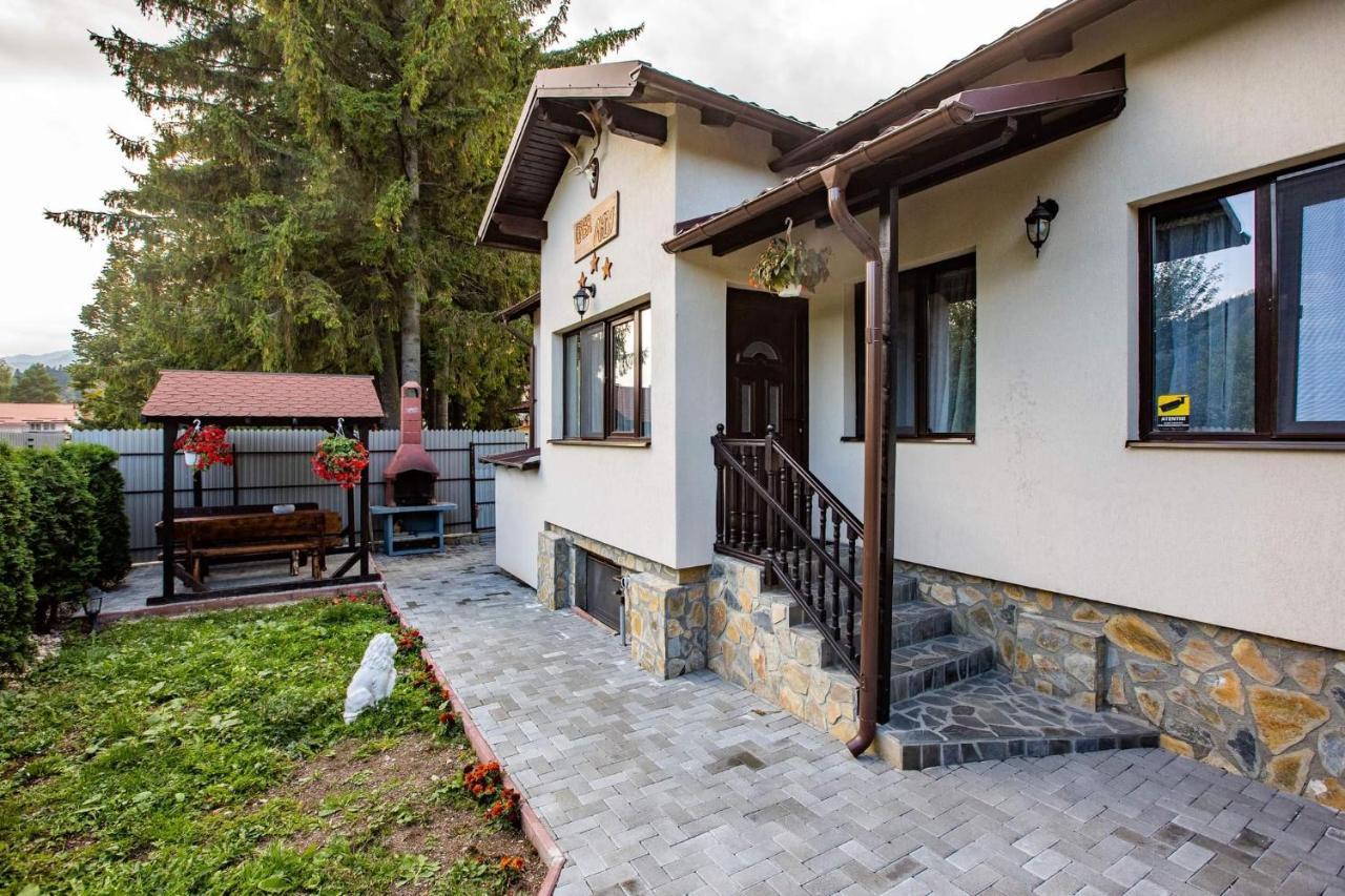 Casa Andy Hotel Busteni Luaran gambar